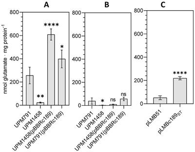 A host-specific diaminobutyrate aminotransferase contributes to symbiotic performance, homoserine metabolism, and competitiveness in the Rhizobium leguminosarum/Pisum sativum system